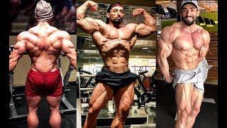 INCREDIBLE MASSTHETIC PERSIAN BODYBUILDER ABTIN SHEKARABI  CULTURISTA PERSA SUPER ESTÉTICO [upl. by Arba]