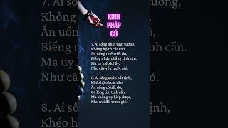 KINH PHÁP CÚ [upl. by Anelliw]