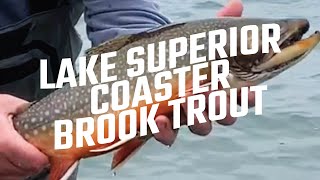 LAKE SUPERIOR  BROOK TROUT amp SALMON  NIPIGON ONTARIO [upl. by Nicholas]