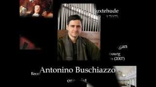 Buxtehude Toccata in d minor BuxWV 155 Antonino Buschiazzo  organ [upl. by Annaed]