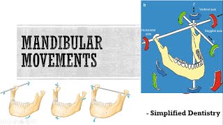 Mandibular Movements [upl. by Nettirb815]