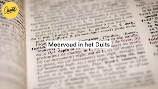 Meervoud in het Duits hoe werkt dat  Mr Chadd Academy [upl. by Edobalo676]