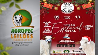 Agropecleiloescom LEILÃO ESPECIAL DE NATAL  REAL LEILÕES  PORTO NACIONAL  TO 05122023 [upl. by Ahsimik497]