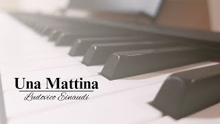 Una Mattina  Ludovico Einaudi The Intouchables [upl. by Zaob393]