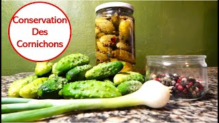 Comment conserver les cornichons de votre potager avec du vinaigre récolte harvesting pickle [upl. by Emya]