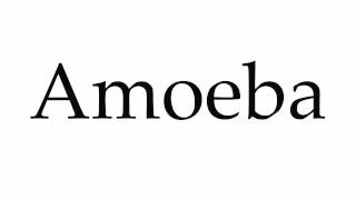 How to Pronounce Amoeba [upl. by Meehyrb]