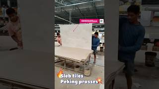 Sleb tiles Peking prosses tilesfactory tilesmanufacturing sorts viralshorts morbigujrat [upl. by Livingstone]