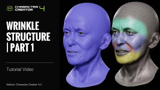 Custom Wrinkle Editing Part 1 Wrinkle Structure  Character Creator 4 Tutorial [upl. by Hollah554]