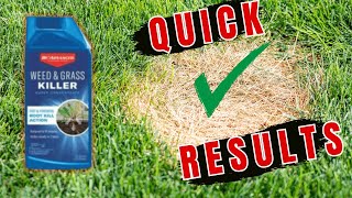 Bioadvanced Weed and Grass Killer Review  Best amp Cheapest on the Market [upl. by Mord]