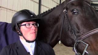 Retired Racehorse Projects 2015 TCA Thoroughbred Makeover [upl. by Aneelehs]