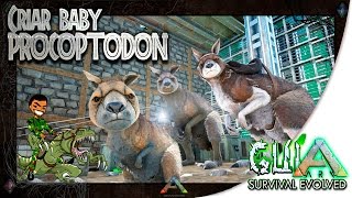 ARK Survival Evolved  Como Criar Baby PROCOPTODON [upl. by Einhpets]