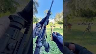 50 BMG Raptor 50 vs DA Targets [upl. by Ursala425]