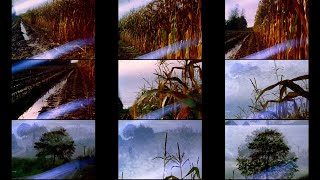 Miniatures 16 mm Heaven and Earth [upl. by Paryavi34]