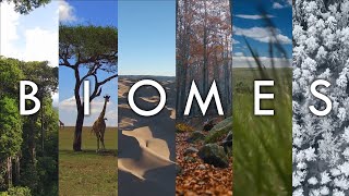 Biomes  The Living Landscapes of Earth Introduction To Biomes Of The World Geodiode [upl. by Ambert]