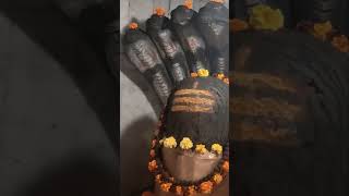 PANDAV GUFA AKHNOOR 💀  Sameer Kundal Vlogs shorts akhnoor pandavcave chenabriver [upl. by Feinstein]