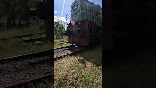 Train VS Rambutan [upl. by Lampert443]