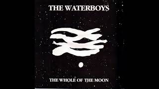 The Waterboys  The Whole Of The Moon [upl. by Inoue251]