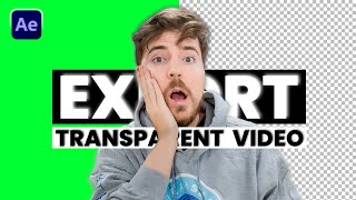 How to Export Transparent Video in After Effects [upl. by Merla]