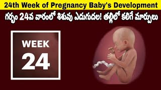 24th Week of Pregnancy Symptoms Changes amp Baby Development  24th Week of Pregnancy in telugu [upl. by Adnilreb]