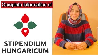 Latest updates of Stipendium Hungaricum Scholarship  Free education in Europe [upl. by Ledarf]