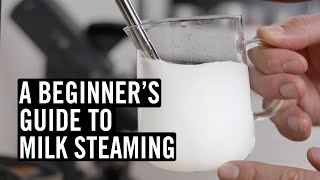 Everything You Need To Know To Steam Great Milk [upl. by Nabla]