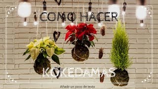 COMO HACER UNA KOKEDAMA MUY FACIL MACETAS 100 ECOLOGICAS [upl. by Sirrom50]