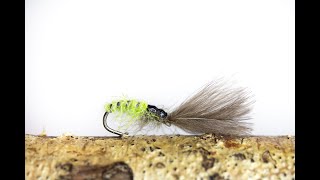 Fly Tying The CDC Grannom Sedge [upl. by Lelah]