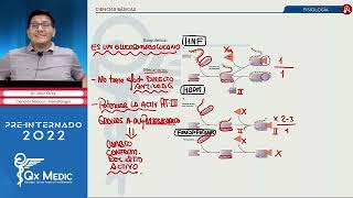 Hematología Farmacología  QX MEDIC 2022 CCBB [upl. by Yerhcaz]