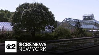 Brooklyn building project rezoned to keep Botanic Garden in the sun [upl. by Billen462]