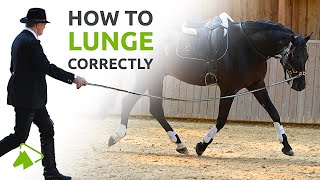 Lunging with the Cavesson or Bridle  What you need to know  wehorse [upl. by Yreved]