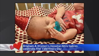 Brigham amp Womens Hospital NICU babies celebrate Valentines Day [upl. by Calvin]