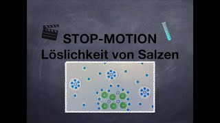 Löslichkeit von Salzen  StopMotion Video 🎥 [upl. by Sinegold]