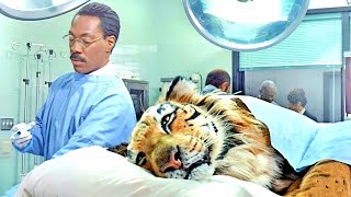 Dr Dolittle 2 Movie Explained in Hindi Urdu  Family Comedy Film summarized in हिन्दीاردو [upl. by Ahsekel472]