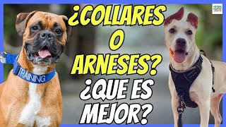 🔴 COLLARES Y ARNESES PARA PERROS ¿CUAL ES MEJOR VENTAJAS E INCONVENIENTES 🔴 [upl. by Ordnassela]