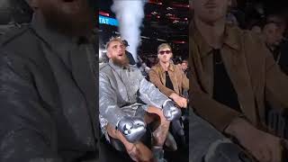 Jake Paul and Mike Tyson Set for Epic Boxing MatchJakePaul MikeTyson BoxingShowdown [upl. by Lidah]