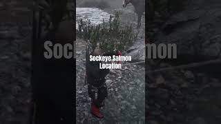 Red Dead Redemption 2 Sockeye Salmon Location arrakisstudio gaming rdr2 rdrgameplay xbox [upl. by Ahsonek]