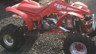 lt250 vs trx250r vs banshee [upl. by Tisman]