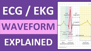 ECG Waveform Explained and Labeled  ECG Interpretation Nursing NCLEX [upl. by Wavell318]