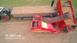 Kartoffeln roden 2015 mit Grimme Roder SE 8555  Reihenleger RL 1700  Fendt  John Deere [upl. by Bucella533]