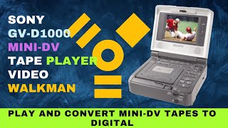 Sony GVD1000 mini DV Tape Player Compact mini DV Tape Player  Video Walkman Digital Converter [upl. by Ahola]