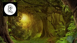 8 Hrs Best Celtic Music Beautiful Music Relaxing Music Flute Music Meditation Music [upl. by Beaston]