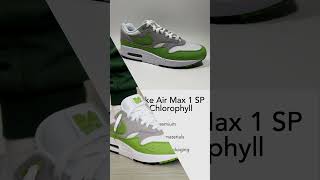 2024 Nike Air Max 1 SP Patta Chlorophyll kixxstar [upl. by Kornher]