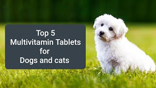 Top 5 cheapest and best quality multivitamin Tablets and syrup for dogs👍💊🐕 [upl. by Adniroc532]