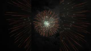 8 Firework fireworks pyromagic pyrotecnic skyshot [upl. by Emeline]