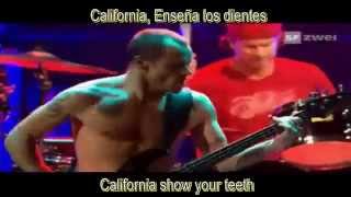 Red Hot Chili Peppers Dani California Lyric Ingles Español [upl. by Nashbar]