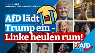 TrumpWahl belebt transatlantische Partnerschaft Damian Lohr [upl. by Kelley]