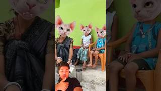 Billi khana khila rahi hai bacchon ko😱😭😰😰trendingshorts viralvideo funnyकॉमेडी funny [upl. by Modesta]