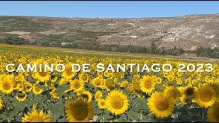 Camino de Santiago 2024 HD [upl. by Mehalek]