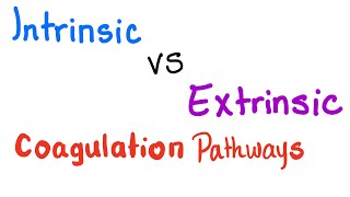 Intrinsic vs Extrinsic Coagulation pathways  Hemostasis  Bleeding and Coagulation [upl. by Ihab]