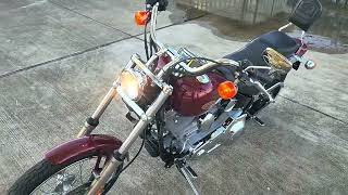 2001 Harley Softail Standard  Only 3789 original miles [upl. by Boonie]